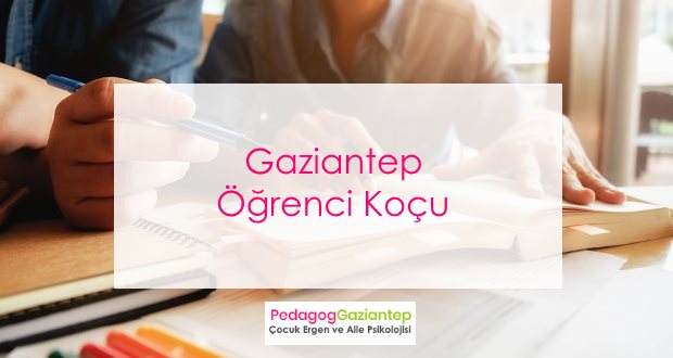 Profesyonel Öğrenci Koçluğu