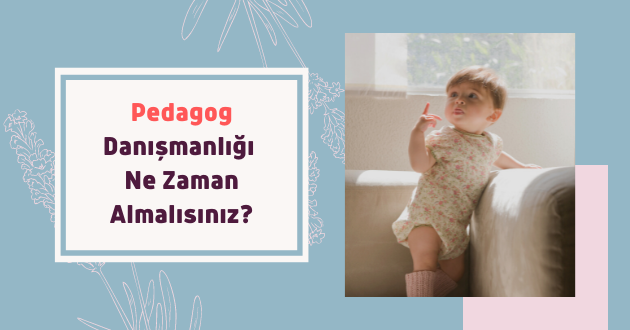 Pedagog Danışmanlığı Ne Zaman Almalısınız?